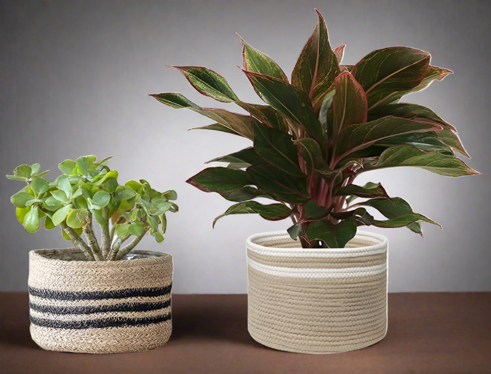 Organic Natural Jute & Black Planter - Set of 2