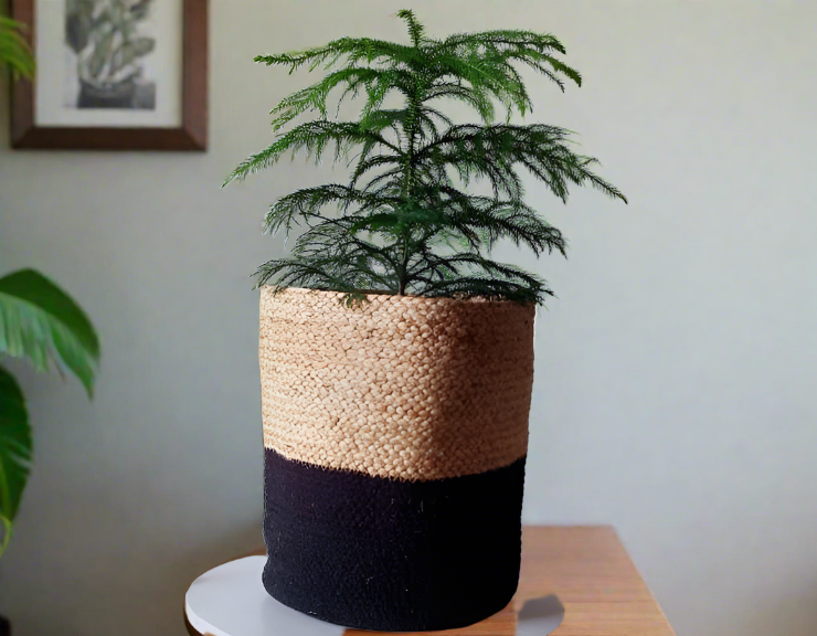 Black Multi Jute Basket
