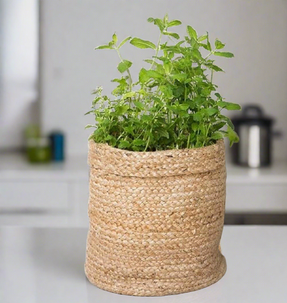 Beige Jute Planter Basket