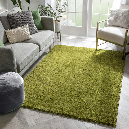 Plain Grass Green Shaggy Floor Mat – High-Density Microfiber Decorative Accent Rug for Home Decor