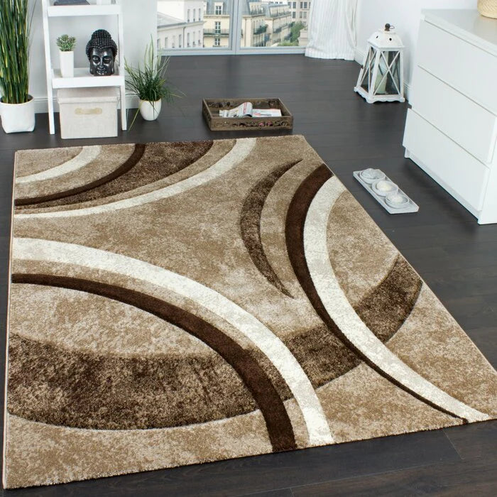 Coffee Multi Beautiful Premium Shaggy Rug/Carpet