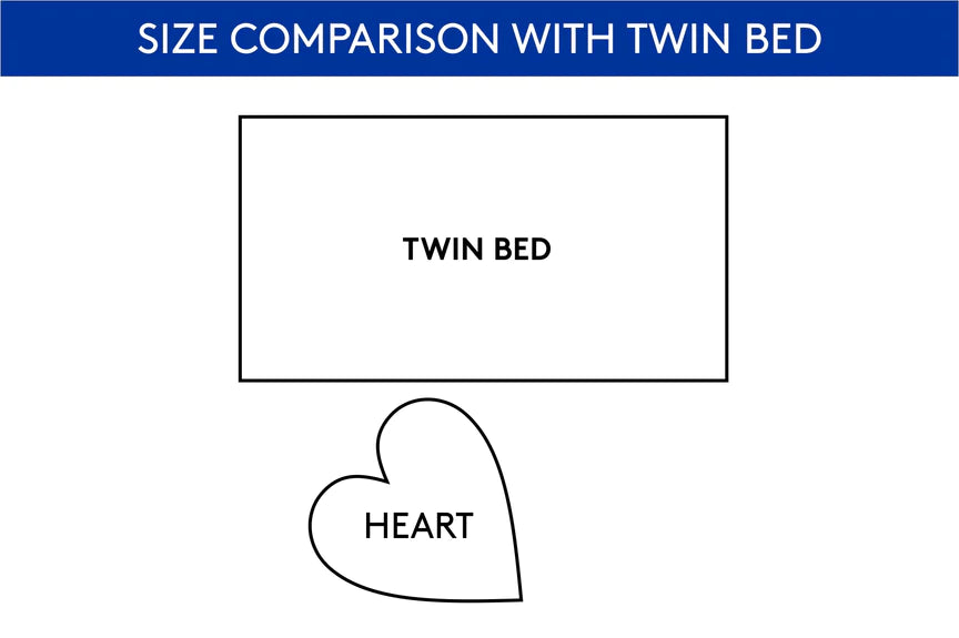 heart_twin_ff0092a7-1cf2-4495-a76d-60edec153b3a_864x576